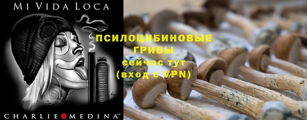 не бодяженный Алзамай