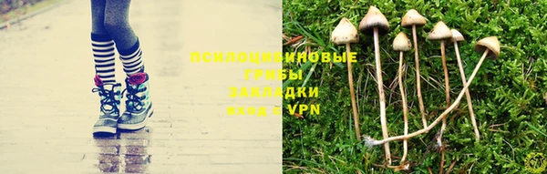 не бодяженный Алзамай