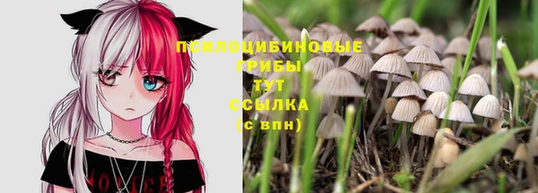 не бодяженный Алзамай
