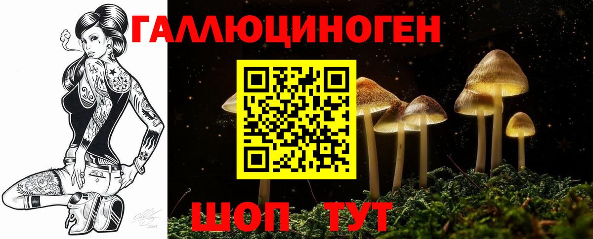 Псилоцибиновые грибы Magic Shrooms Владивосток